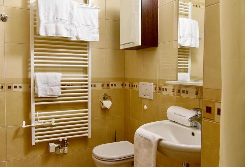 بنسيون Penzion Frymburk