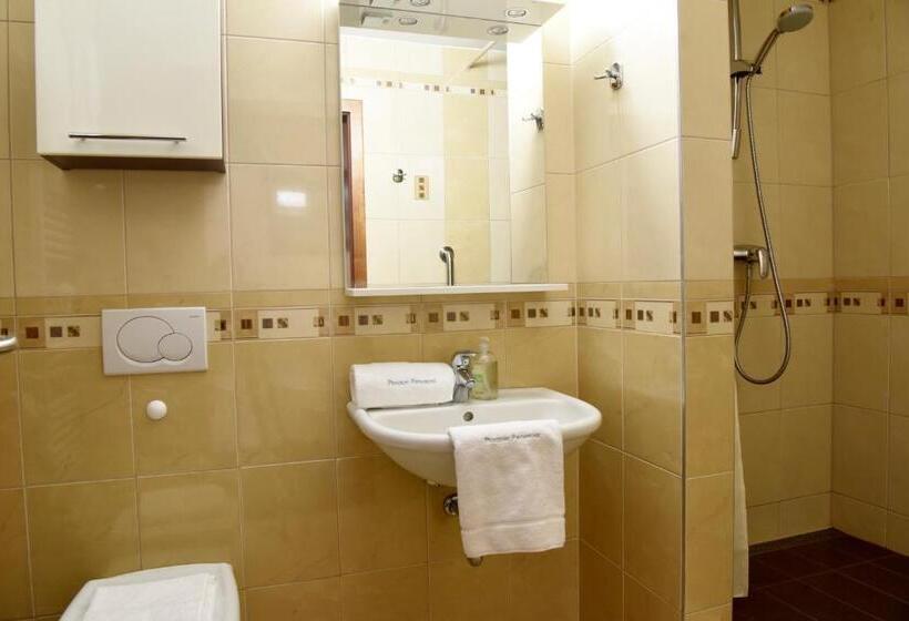 بنسيون Penzion Frymburk