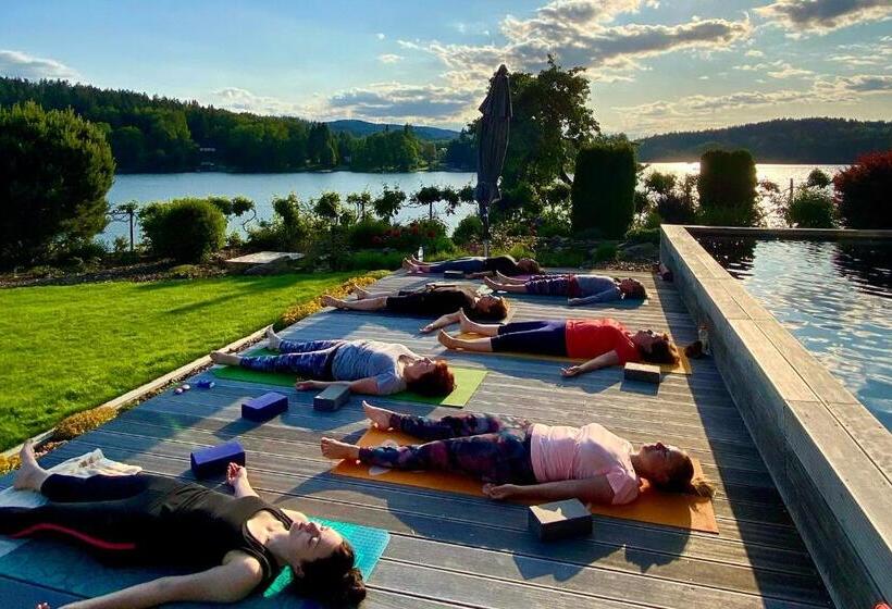 بنسيون Penzion Frymburk