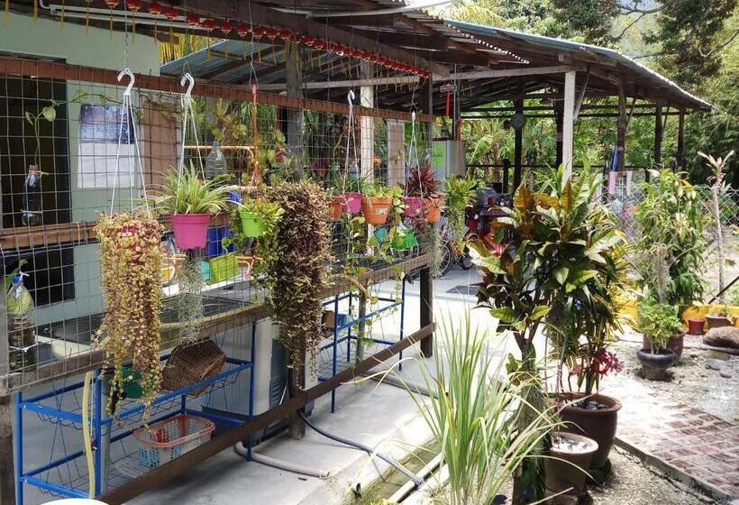 膳宿费 Tony’s Guesthouse At Teluk Bahang