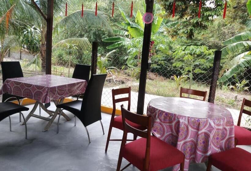 膳宿费 Tony’s Guesthouse At Teluk Bahang