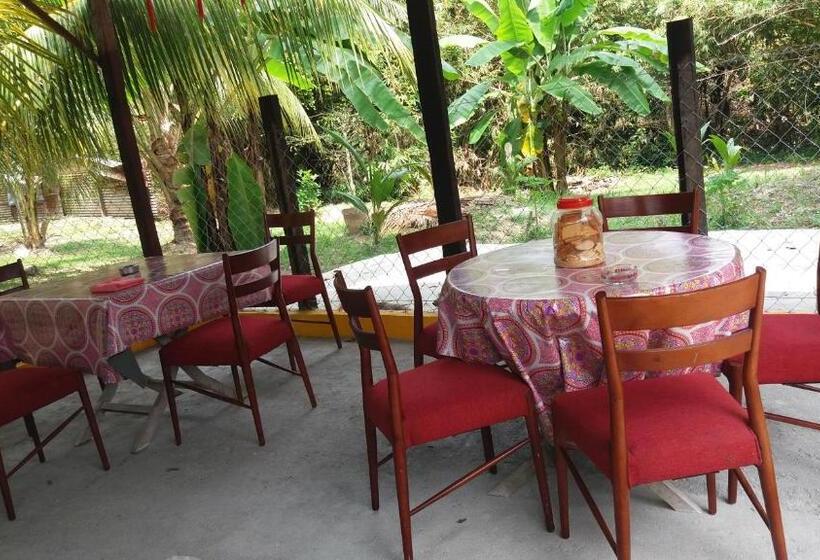 膳宿费 Tony’s Guesthouse At Teluk Bahang