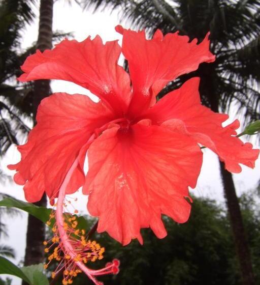 Lomakeskus Lake View Bungalows