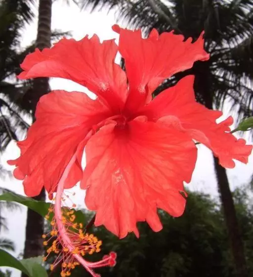 Lomakeskus Lake View Bungalows