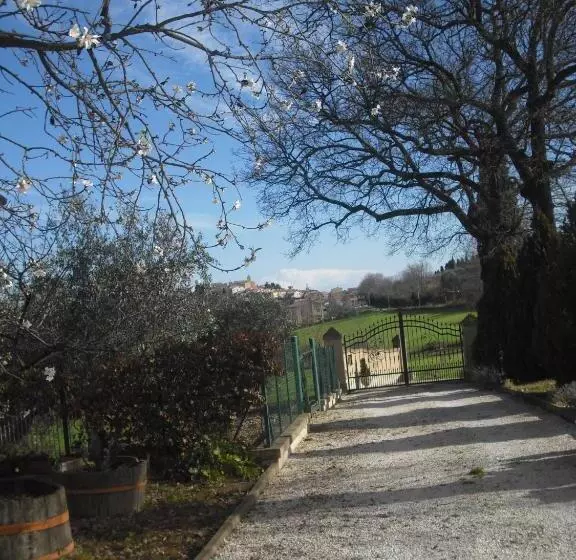 B&b Le Rose