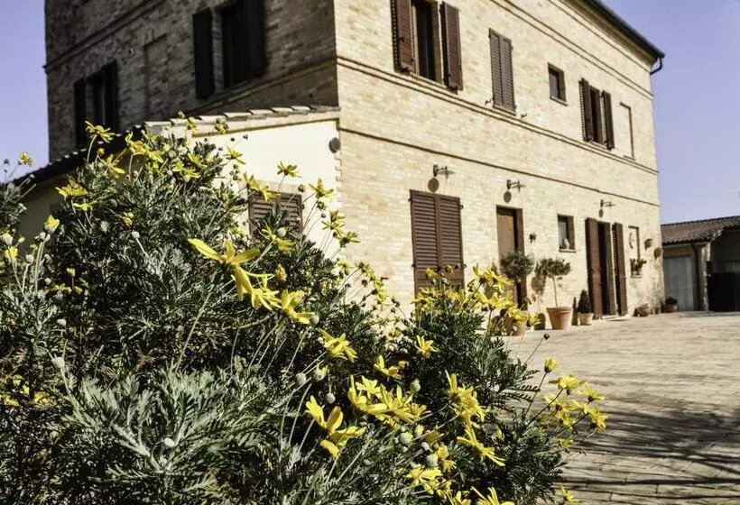B&b Le Rose