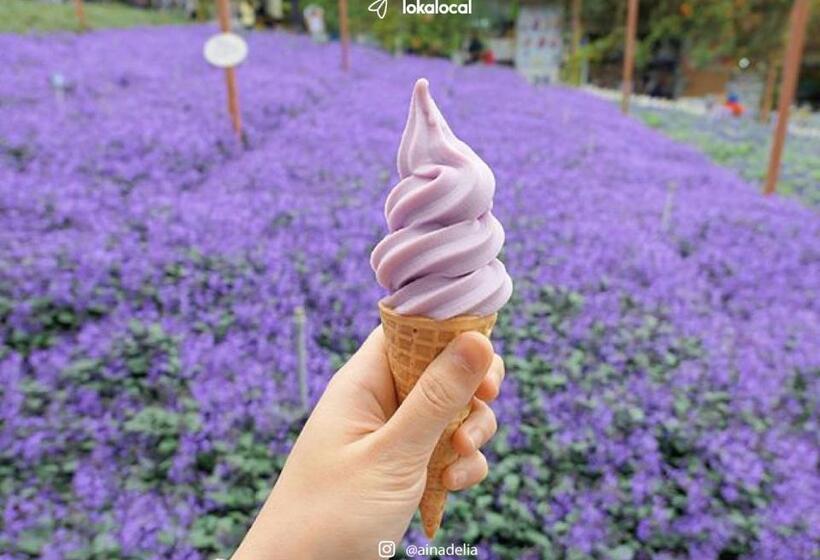 בית מלון כפרי Melur Inn