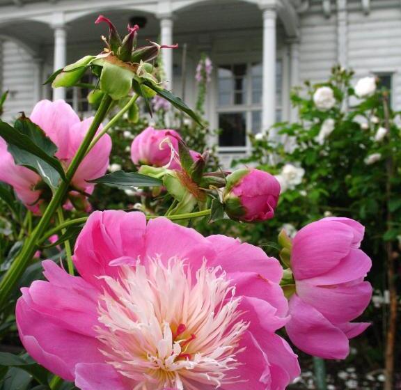 בית מלון כפרי Wij Trädgårdar