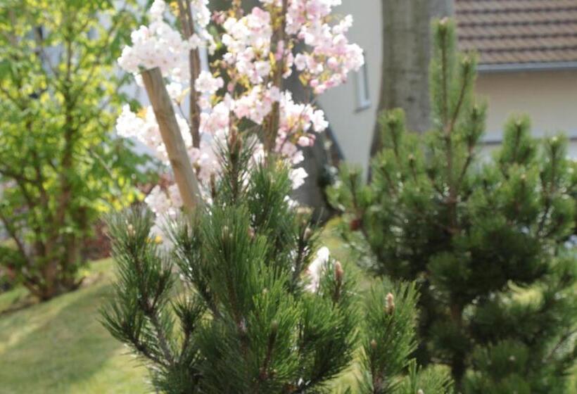 Pension Auf Der Düne