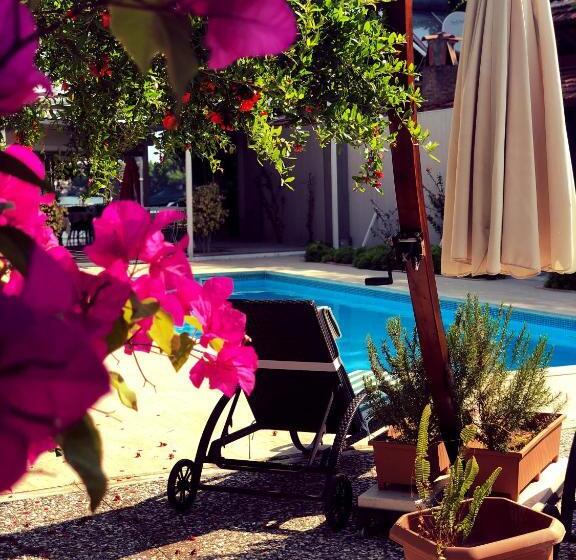 ホテル Arp Dalyan