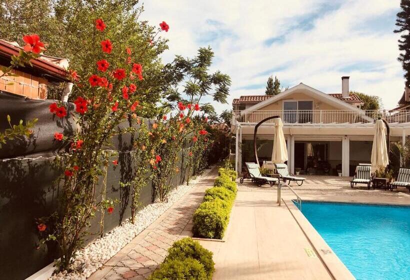 ホテル Arp Dalyan