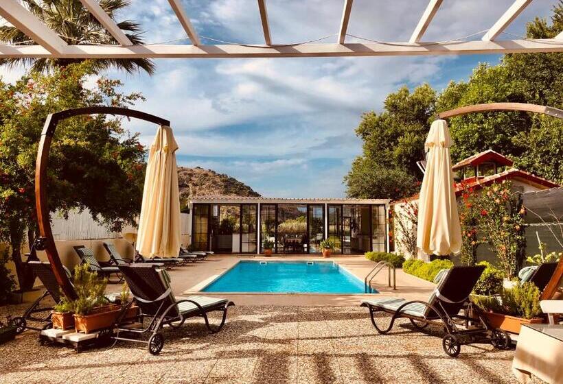 ホテル Arp Dalyan