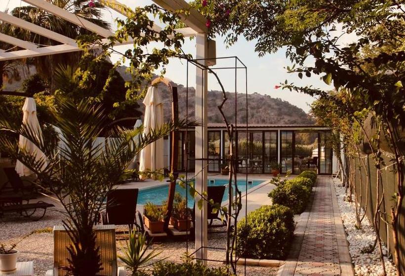 ホテル Arp Dalyan