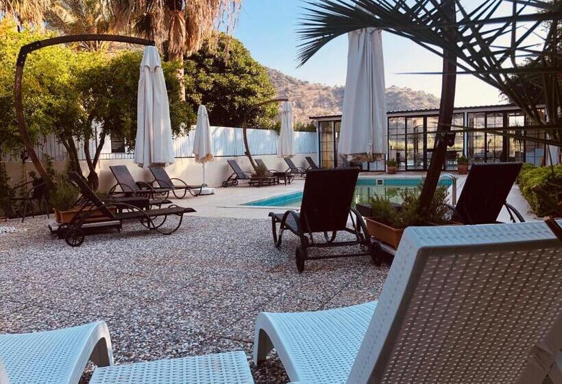 ホテル Arp Dalyan