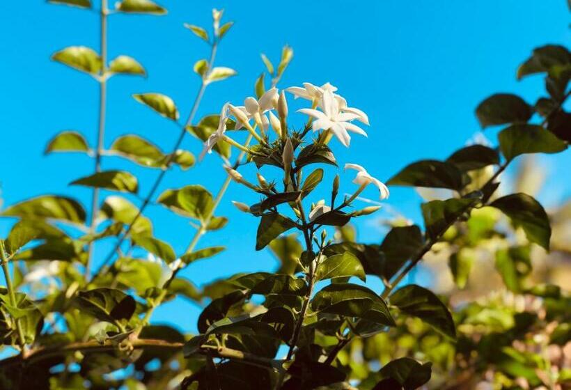 ホテル Arp Dalyan