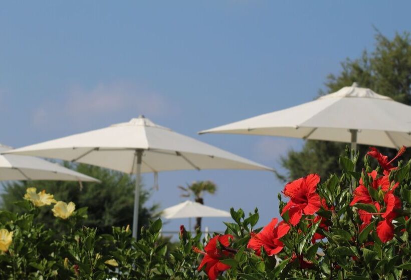 ホテル Bv Kalafiorita Resort