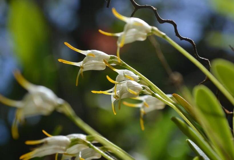 호텔 Cabinas Capulin & Farm