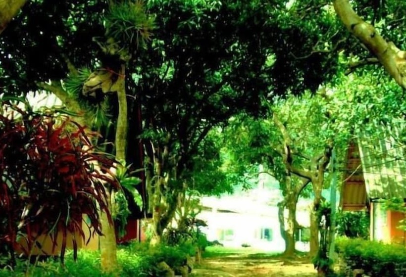 בית מלון כפרי Cashewnut Tree Resort