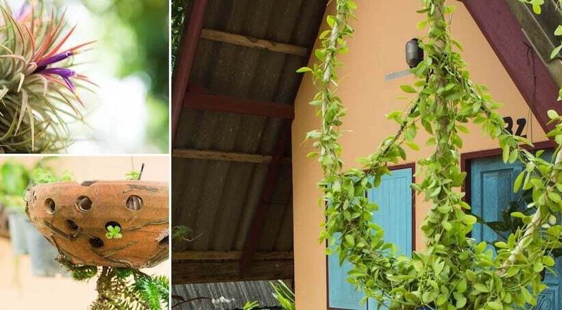 בית מלון כפרי Cashewnut Tree Resort