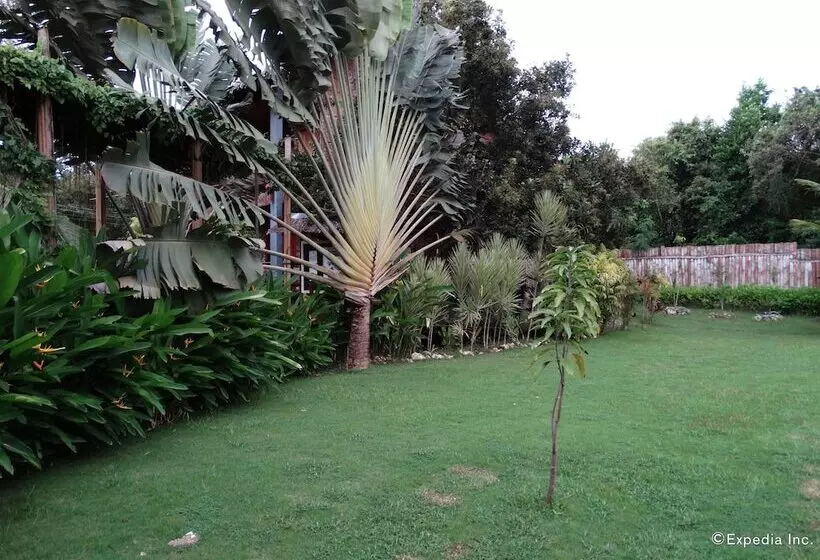 هتل Chill Out Guesthouse