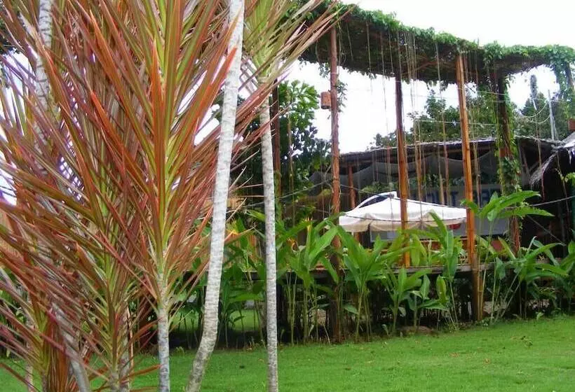 هتل Chill Out Guesthouse