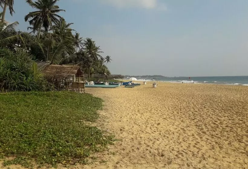 ホテル Sea Front Hikkaduwa
