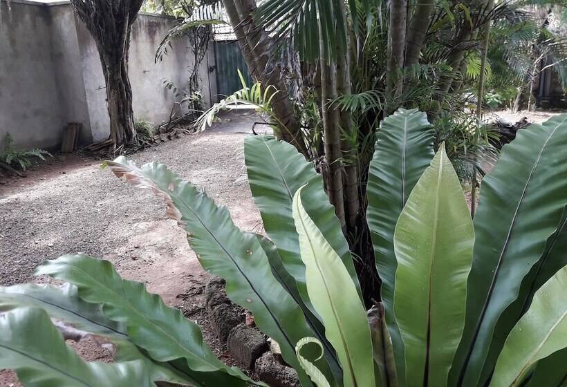 فندق Sea Front Hikkaduwa