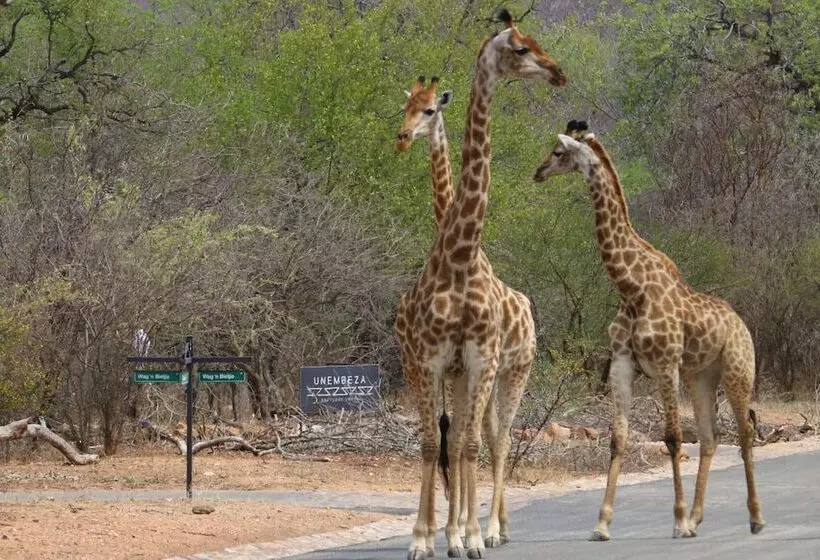Hotelli Unembeza Boutique Lodge & Spa