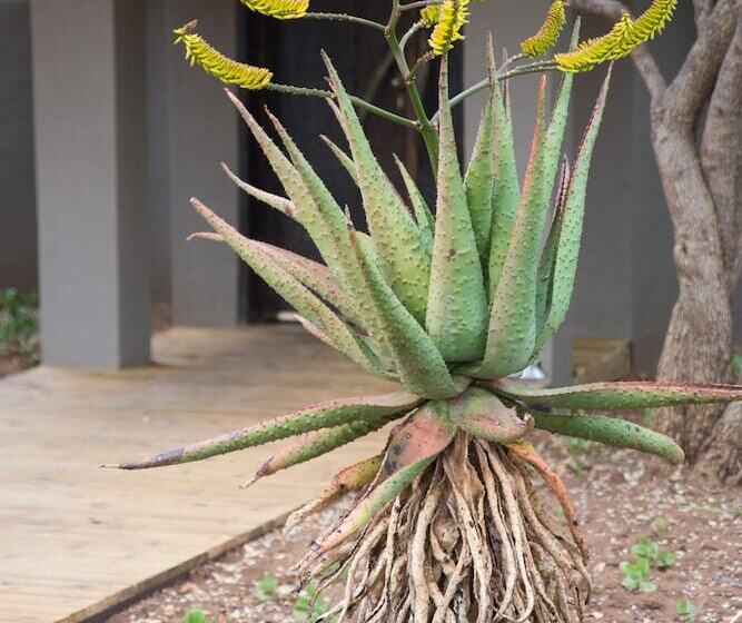 فندق Unembeza Boutique Lodge & Spa