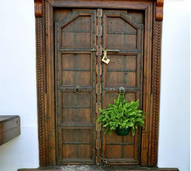 פנסיון 50 College Drive B&b