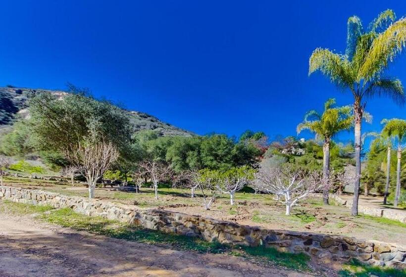 펜션 Vineyard Hacienda