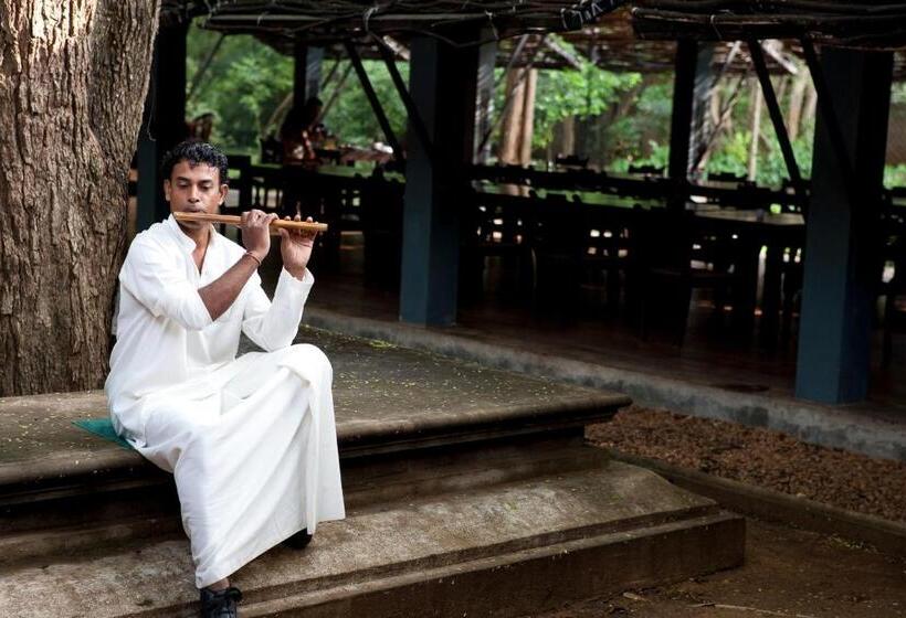 فندق صغير Sigiriya