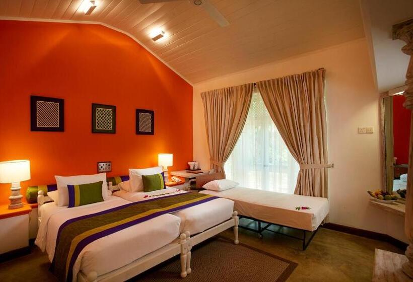 فندق صغير Sigiriya