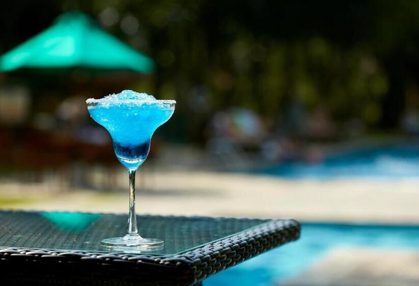 فندق صغير Sigiriya