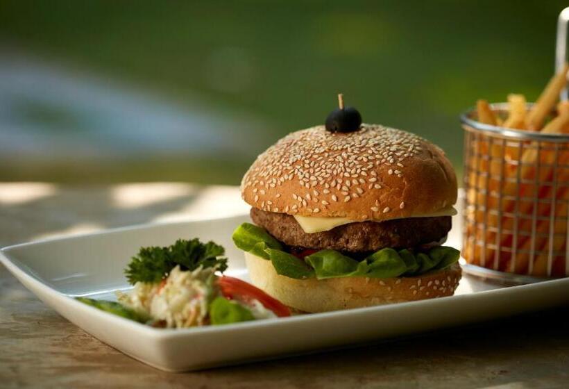 فندق صغير Sigiriya