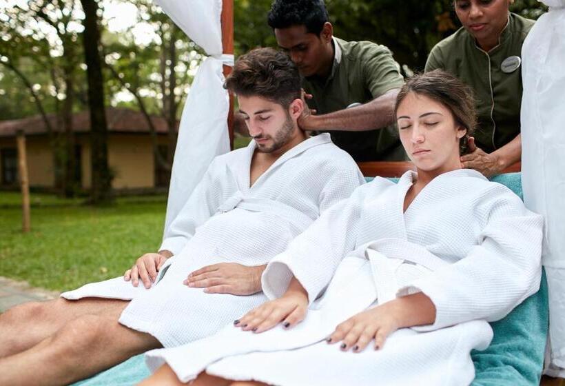 فندق صغير Sigiriya