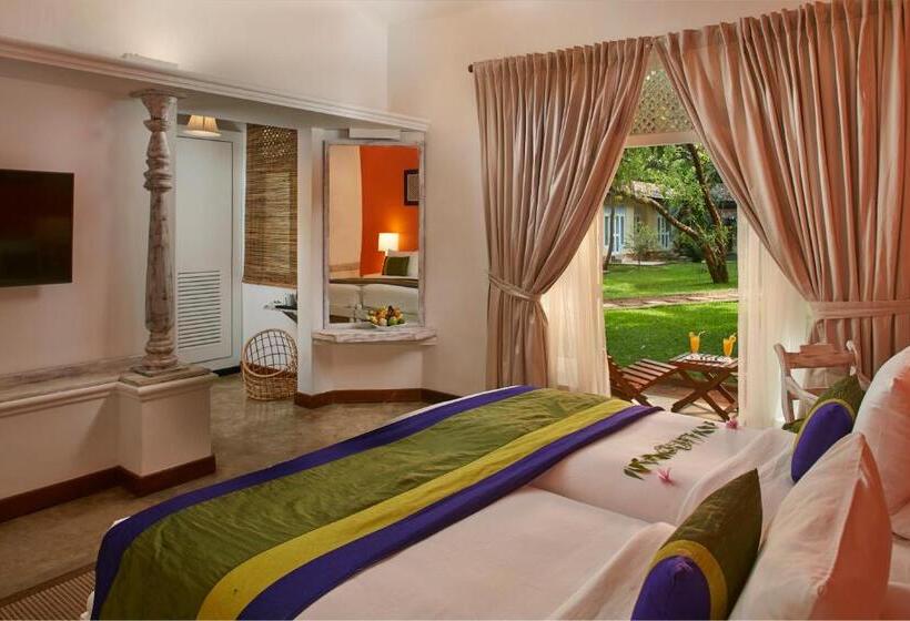 فندق صغير Sigiriya