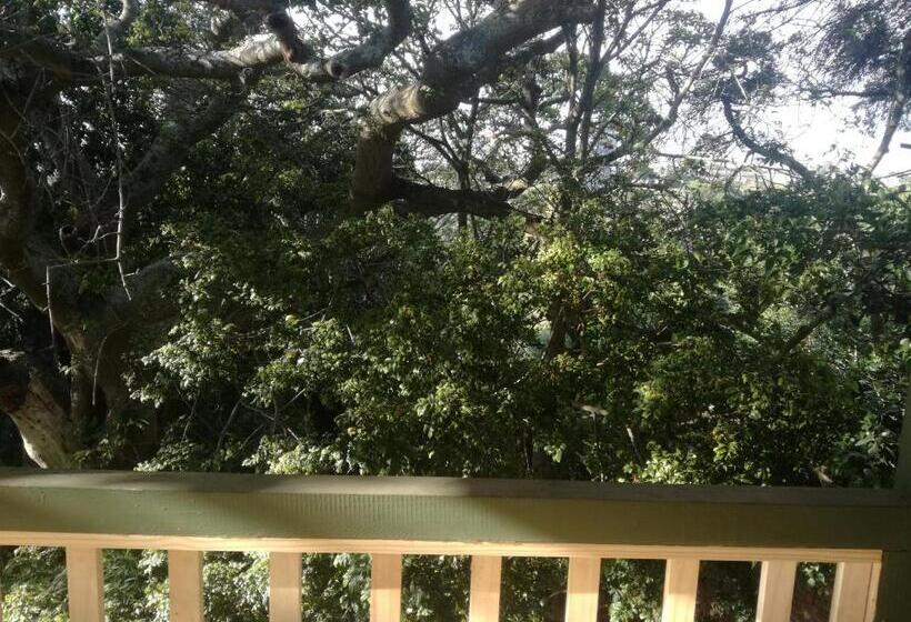 צימר Valley Guest House