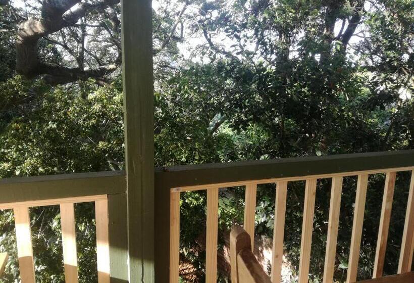 צימר Valley Guest House