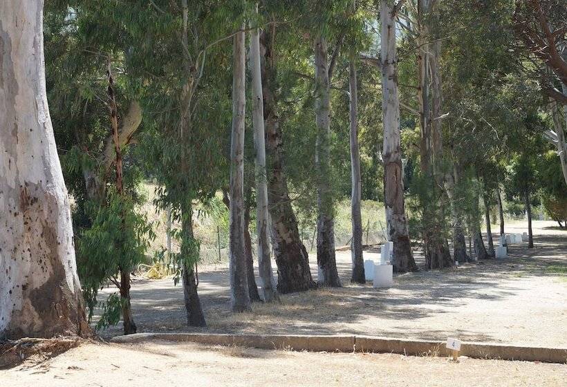 هتل Camping International