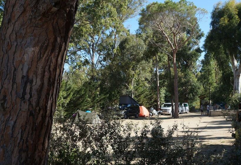 هتل Camping International