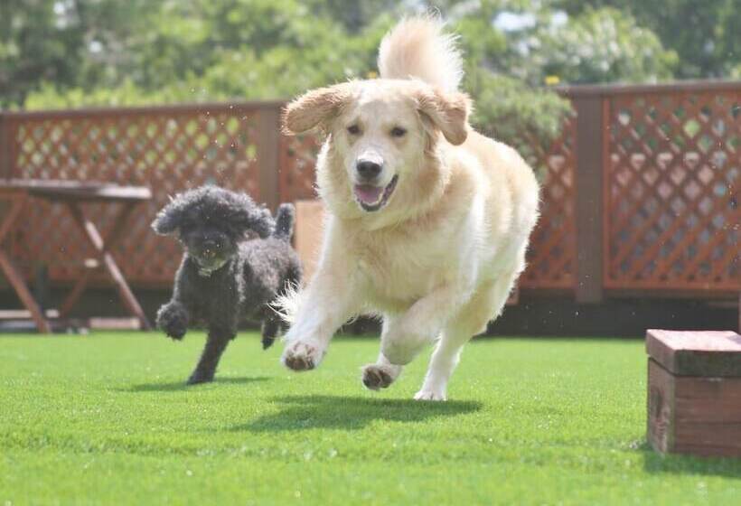 Отель Izukogen Wanwan Paradise Condominium