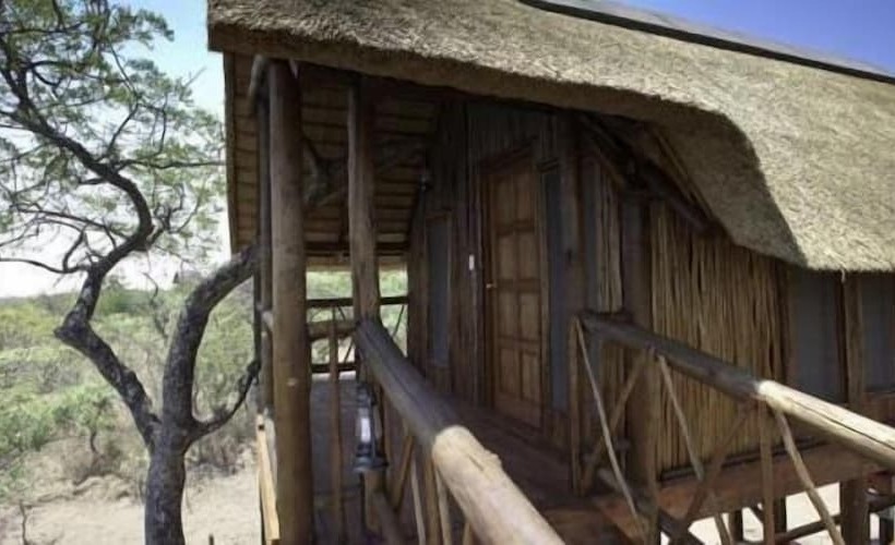 Hotel Lion Tree Top Lodge