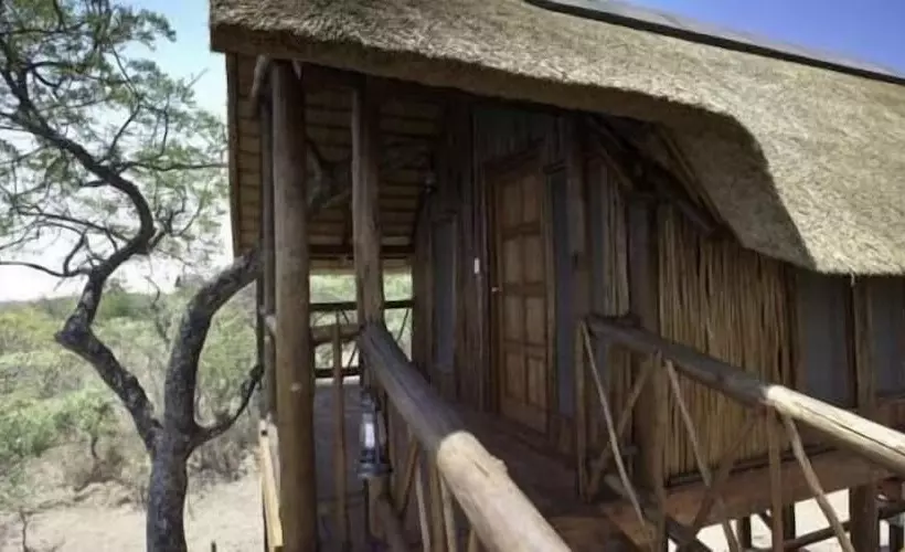 ホテル Lion Tree Top Lodge