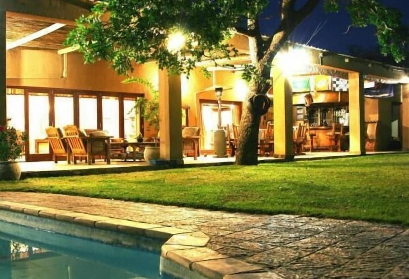 Hotel Lion Tree Top Lodge