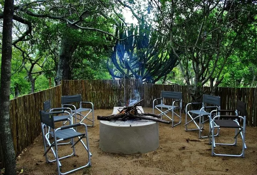 ホテル Lion Tree Top Lodge