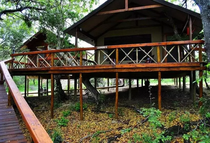 ホテル Lion Tree Top Lodge