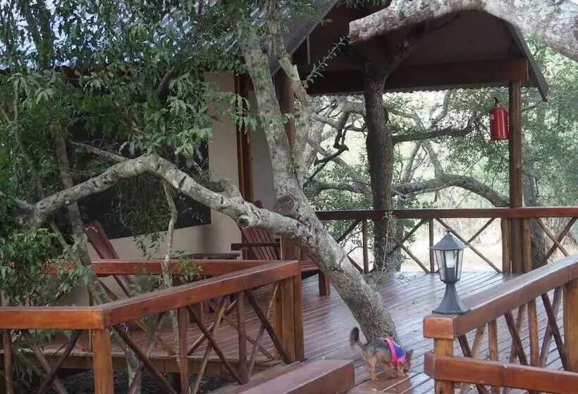 ホテル Lion Tree Top Lodge