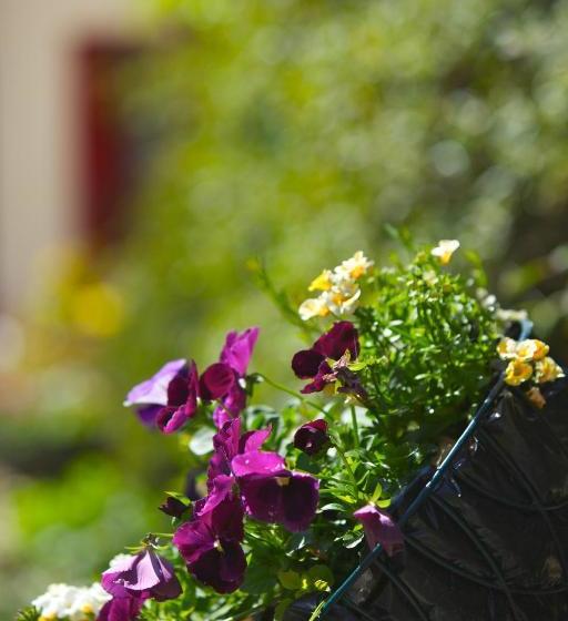 Westbrook House B & B