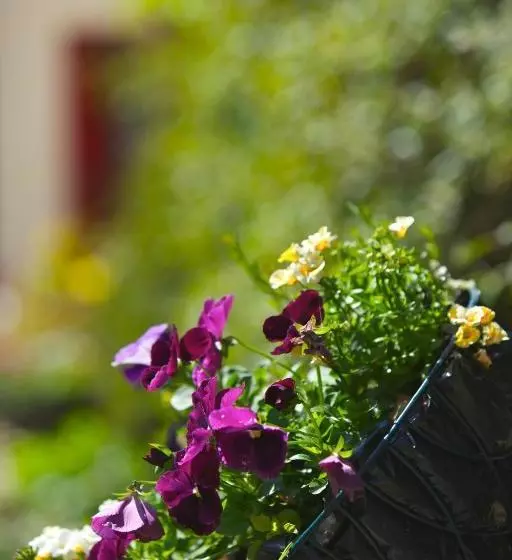 Westbrook House B & B